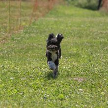 20220612 IMG 1889 1400