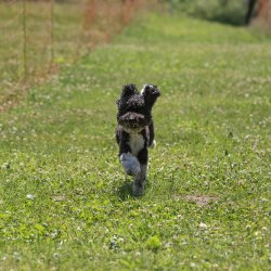 20220612 IMG 1889 1400