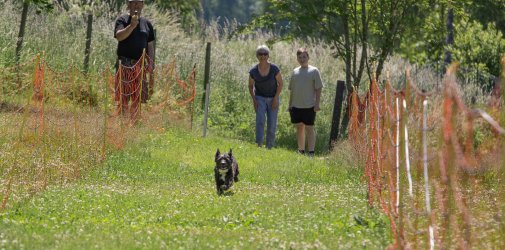 20220612 IMG 1895 1400