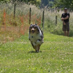 20220612 IMG 1906 1400