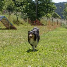 20220612 IMG 1907 1400