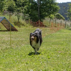 20220612 IMG 1907 1400