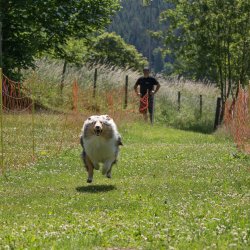 20220612 IMG 1917 1400