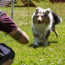 20220612 IMG 1921 1400