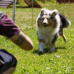 20220612 IMG 1921 1400