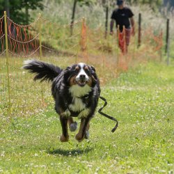 20220612 IMG 1932 1400