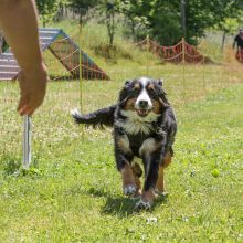 20220612 IMG 1935 1400