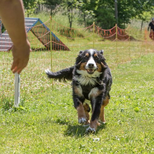 20220612 IMG 1935 1400