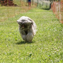 20220612 IMG 1944 1400