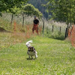 20220612 IMG 1948 1400