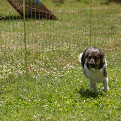 20220612 IMG 1950 1400