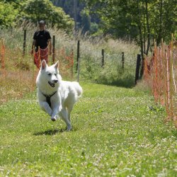 20220612 IMG 1957 1400