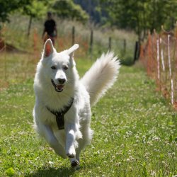 20220612 IMG 1961 1400