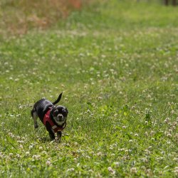 20220612 IMG 1974 1400