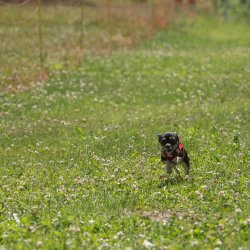 20220612 IMG 1975 1400