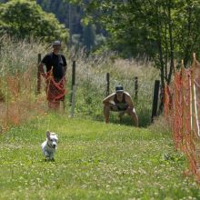 20220612 IMG 1979 1400