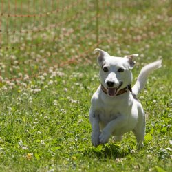 20220612 IMG 1985 1400