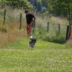 20220612 IMG 1992 1400