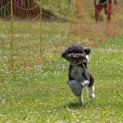 20220612 IMG 1995 1400