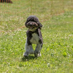 20220612 IMG 1996 1400