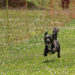 20220612 IMG 2000 1400