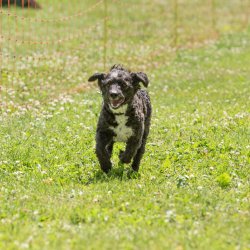 20220612 IMG 2003 1400