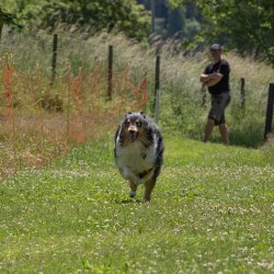 20220612 IMG 2004 1400