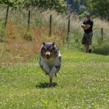 20220612 IMG 2006 1400