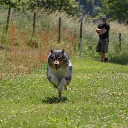 20220612 IMG 2006 1400