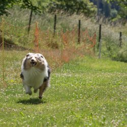 20220612 IMG 2014 1400