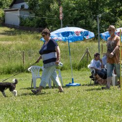 20220612 IMG 2021 1400