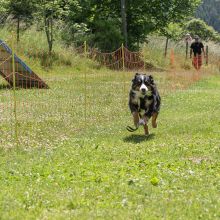 20220612 IMG 2027 1400