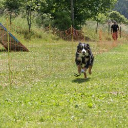 20220612 IMG 2027 1400