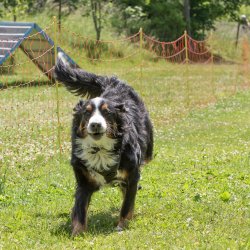 20220612 IMG 2029 1400