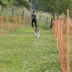 20220612 IMG 2039 1400