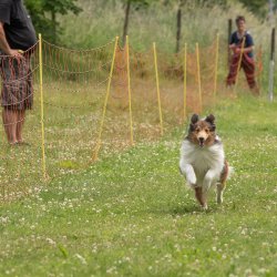 20220612 IMG 2042 1400