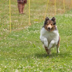 20220612 IMG 2043 1400