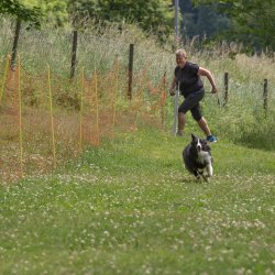 20220612 IMG 2050 1400