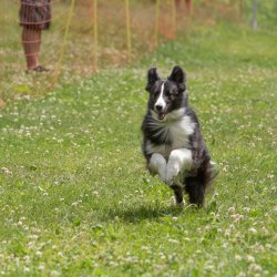 20220612 IMG 2054 1400