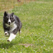 20220612 IMG 2056 1400