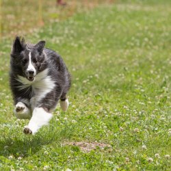 20220612 IMG 2056 1400