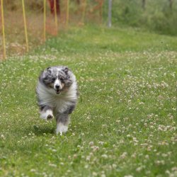 20220612 IMG 2061 1400