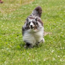 20220612 IMG 2064 1400