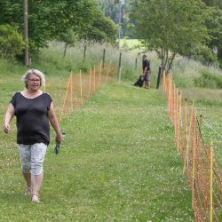 20220612 IMG 2215 1400