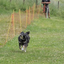 20220612 IMG 2216 1400