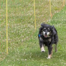 20220612 IMG 2219 1400