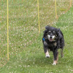 20220612 IMG 2219 1400