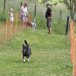 20220612 IMG 2225 1400