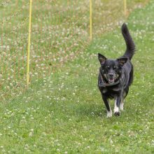 20220612 IMG 2228 1400