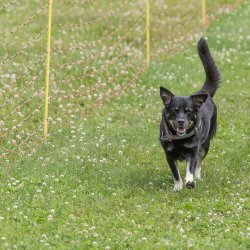 20220612 IMG 2228 1400